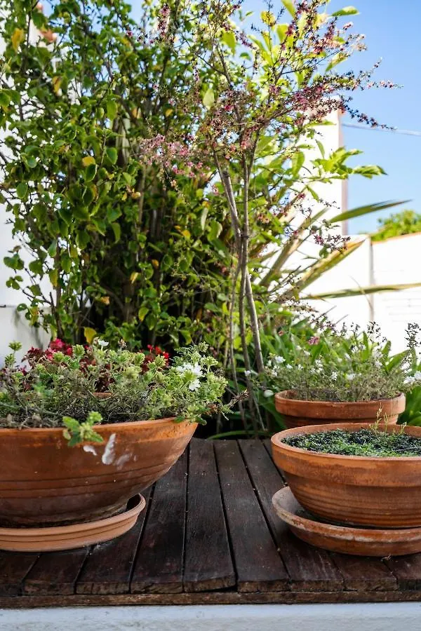 Vivenda Brito Guest House Carvoeiro